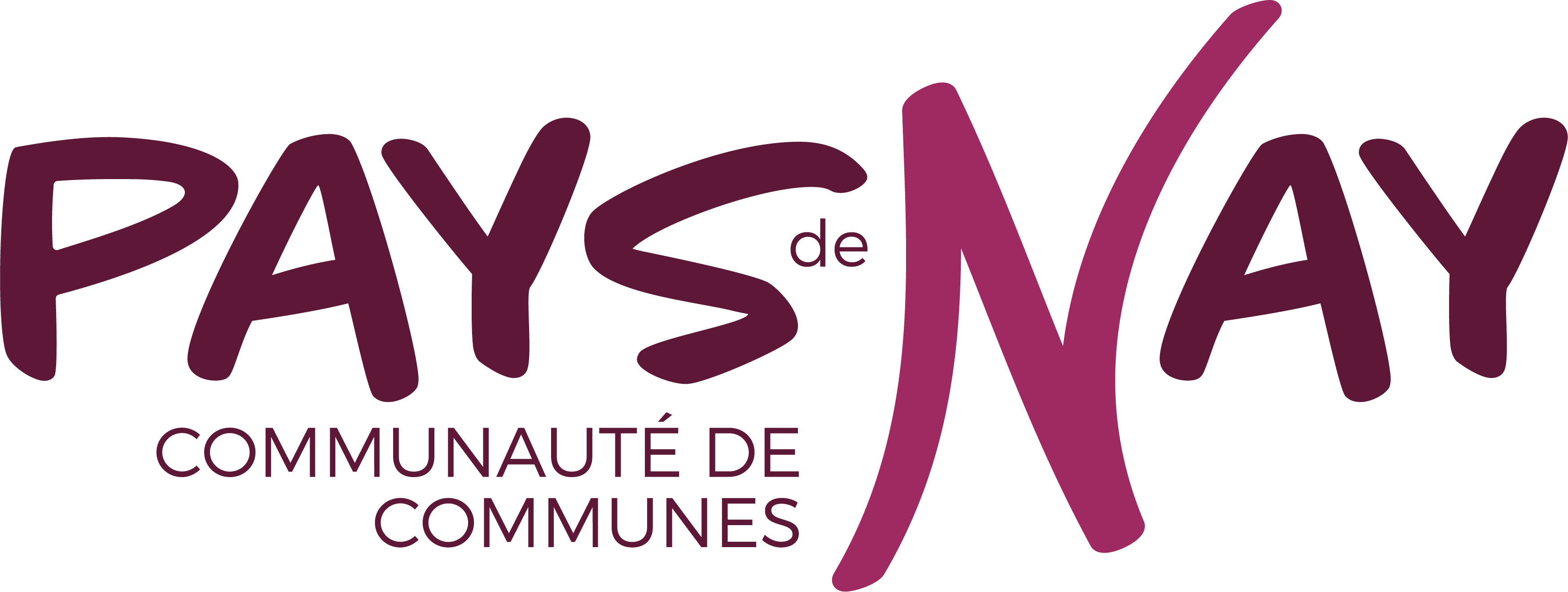 logo ccpn 1