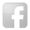 icon facebook g